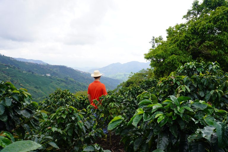 paisaje del eje cafetero gas natural, servicio público