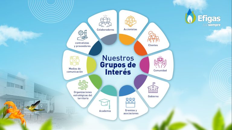 Grupos de interés Efigas