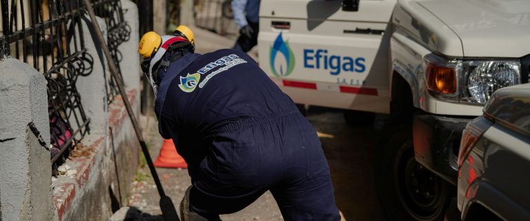 EFIGAS PEREIRA-16