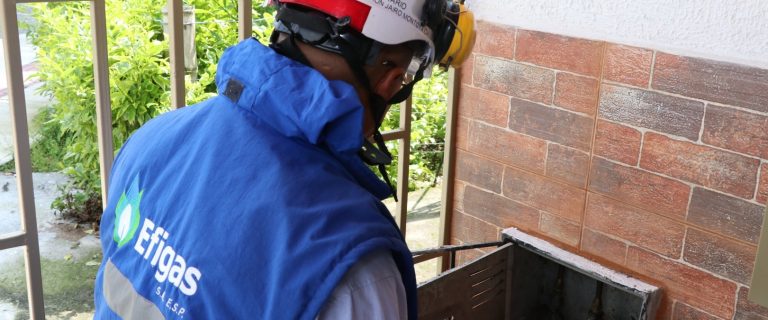 WhatsApp Image 2026-02-06 at 11.36.07 AM