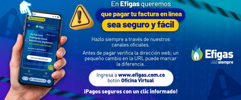 banner-ciberseguridad-efigas